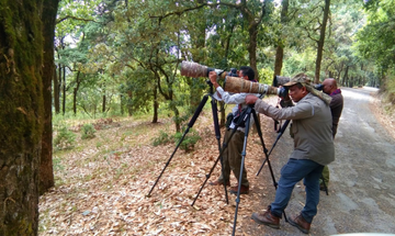 Manila Birding Tour In Corbett