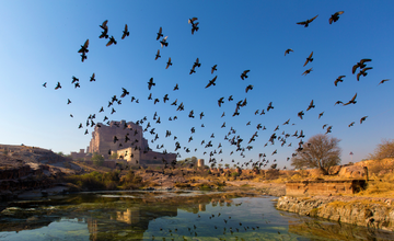 jaisalmer_tour_package