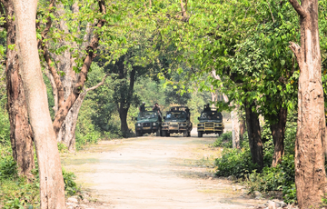 tiger tour jim corbett national park