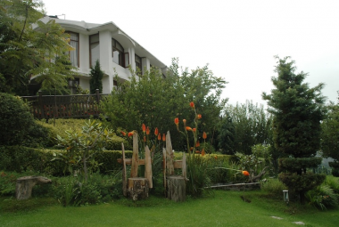 Monsoon Forest Facade