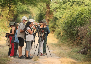 Earth Walks In Bharatpur