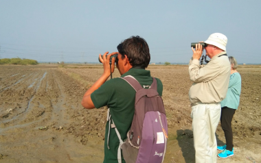 birdwatching in india