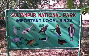 sultanpur national park in india 