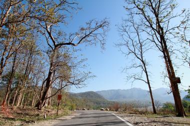 Kosi-Valley-Enroute-Vanghat