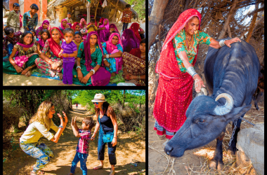 Rawla Anand Rohet by Mastiff Jodhpur