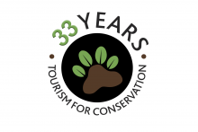 33 Year Asian Adventures Logo